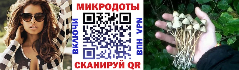 Галлюциногенные грибы Cubensis  площадка какой сайт  Зубцов  МЕГА онион 